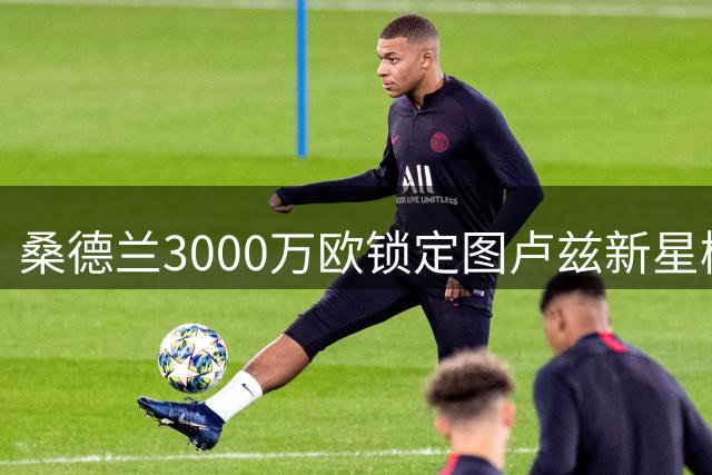 桑德兰3000万欧锁定图卢兹新星梅塔利 签约五年